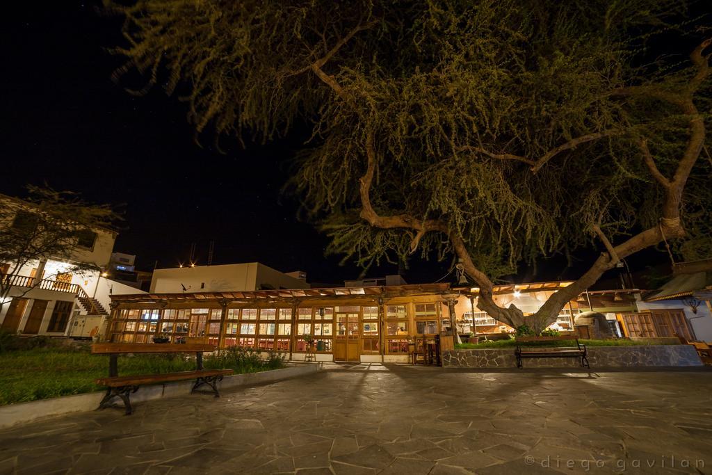 Hotel El Huarango Ica Exteriör bild